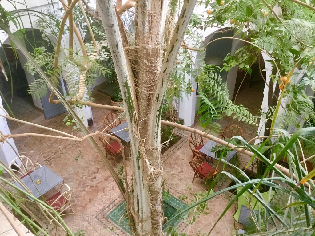 Dar Binebine Marrakesh Ngoại thất bức ảnh