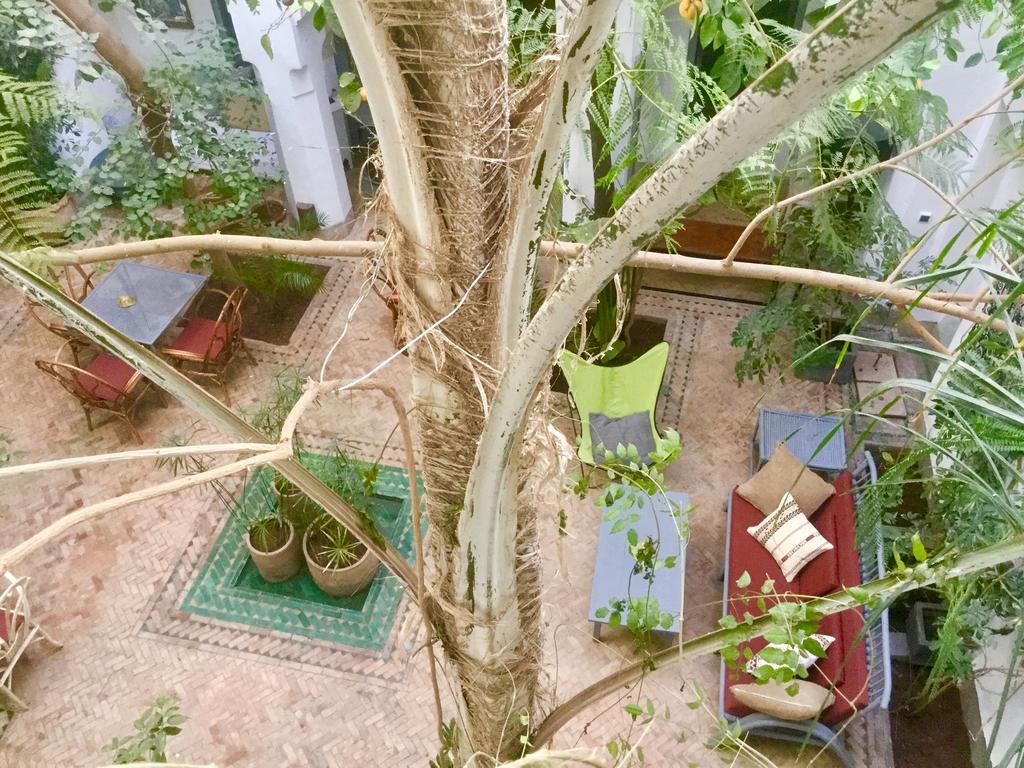 Dar Binebine Marrakesh Ngoại thất bức ảnh